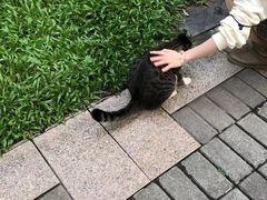 -宠物之家Pets Home 宠物寄养酒店