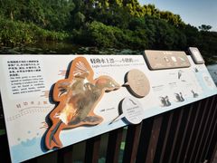 -大湾区中央湿地公园