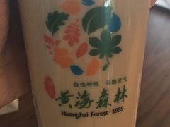 -黄海国家森林公园