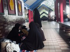-九龙公园