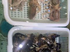 -宝燕壹号(徐汇店)