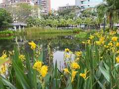 -四海公园(南山区)
