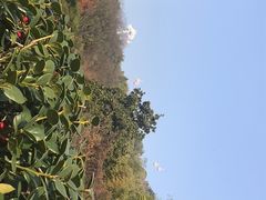 -东湖磨山景区