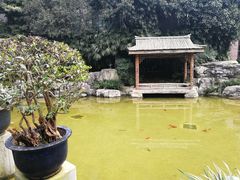 -老幺泉水鸡