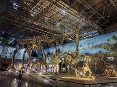 -西峡恐龙遗迹园