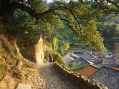-杨家堂村