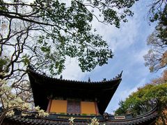 -普陀山风景区-佛顶山