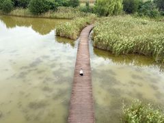 -盐城丹顶鹤湿地生态旅游区