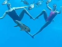 -亚龙湾海底世界