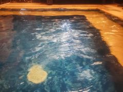 -皇室水疗SPA(星河湾酒店店)