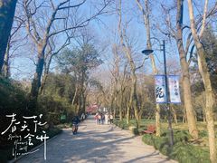 -杭州植物园