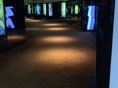 -上海金逸影城(静安大悦城店（原新恒星影城）)