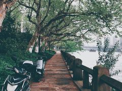 -运河游船(武林门码头)