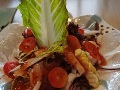 墨鱼沙拉-秋荀日本料理(昆明同德广场店)