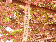 -西安外国语大学(长安校区)