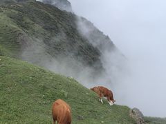 -乌蒙大草原