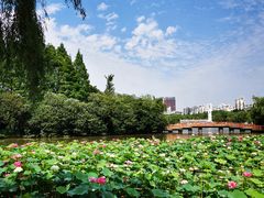 -黄兴公园