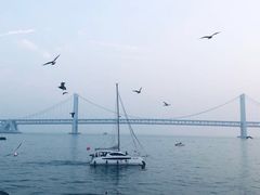 -大连圣亚海洋世界