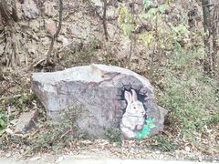 -惠山国家森林公园
