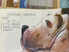 -饭米多蔻中英文绘本馆(苏州美罗店)