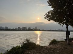 -鹤之洲湿地公园