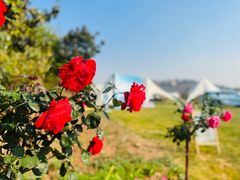 -昆明春城湖畔度假村