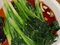 -新白鹿餐厅(百联中环店)