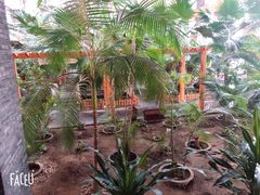 -陆地游轮吉林神农温泉