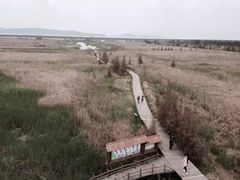 -漩门湾国家湿地公园