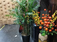 -双合园·海鲜水饺青岛菜(万佳广场店)