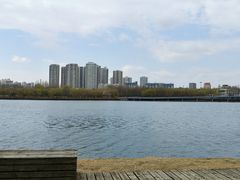 -长白岛森林公园