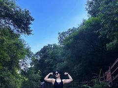 -广州白江湖森林公园