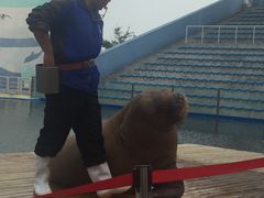 -北戴河圣蓝海洋公园