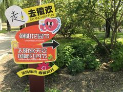 -太阳宫公园