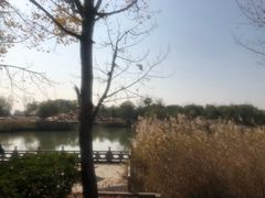 -处女泉风景名胜区
