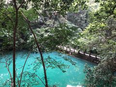 -之江大学-旧址