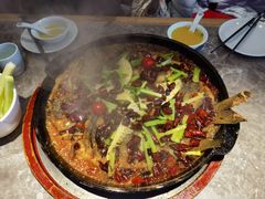 -老板恋上鱼(恒隆广场店)