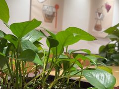 -COSTA COFFEE(天通苑华联店)