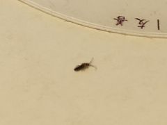 -麦当劳(临顿路店)