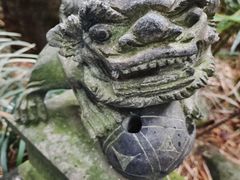 -呀诺达热带雨林