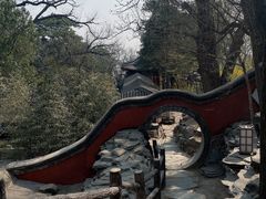 -大觉寺-停车场