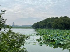 -月湖风景区