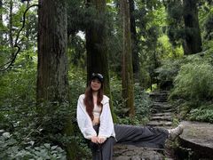 -天目山大树王景区