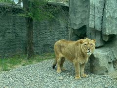 -北京野生动物园