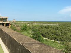 -北海金海湾红树林生态旅游区