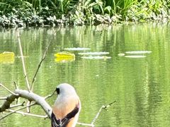 -昆山城市生态森林公园