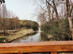 -上海滨江森林公园