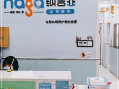 -纳吉亚猫专科动物诊疗中心(蒋宅口分院)