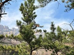 -崂山巨峰游览区