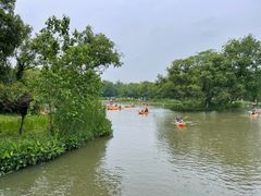 -西溪国家湿地公园